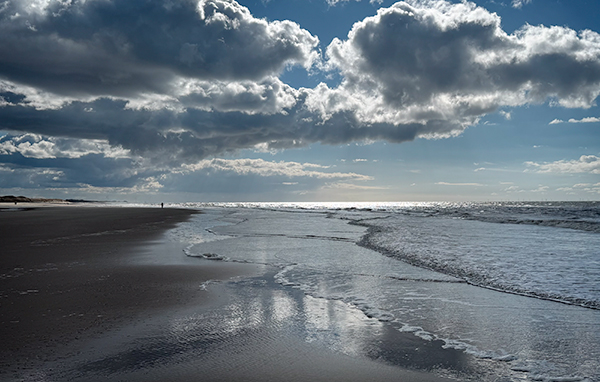 untitled #2778 (This is not Venice Beach, Los Angeles)