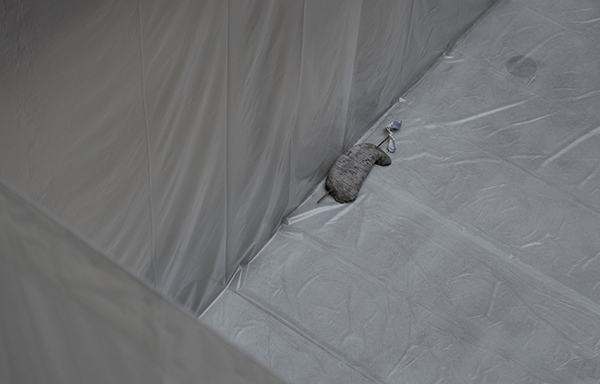 Piet Wessing: untitled #439 (While You're Asleep)